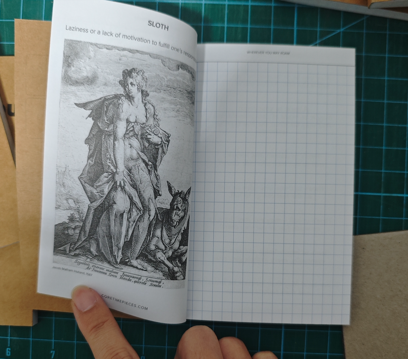 Wherever You May Roam Travel Book